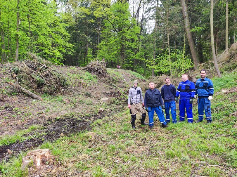 Dobrovolnická aktivita Bohemia Rings s.r.o. v městském lese