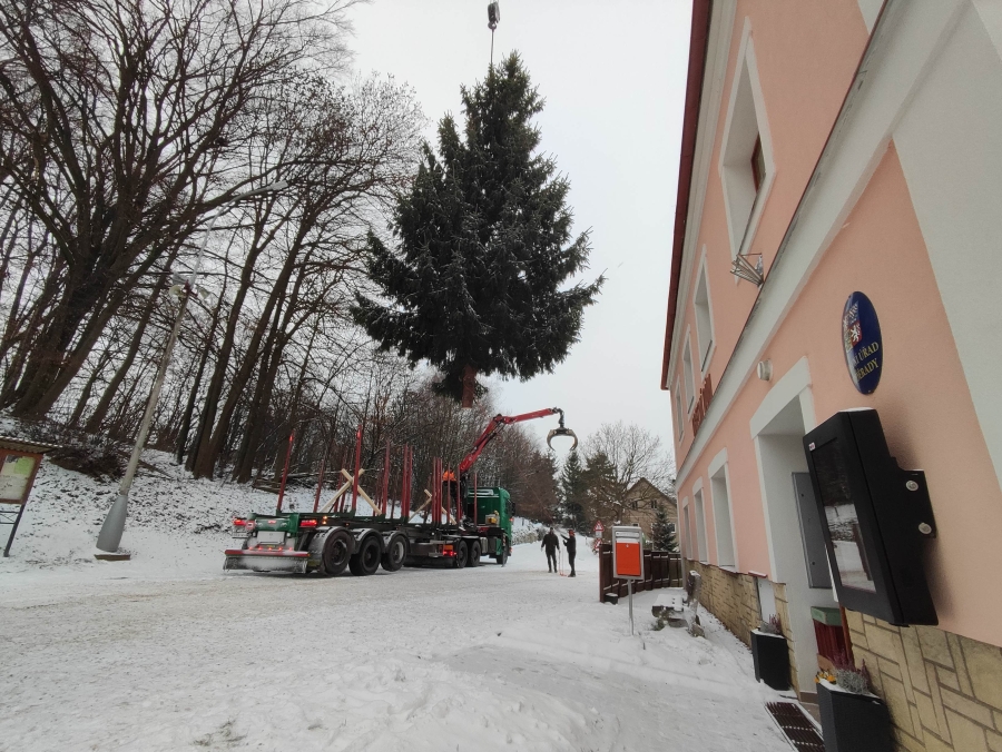 Převoz vánočního stromu